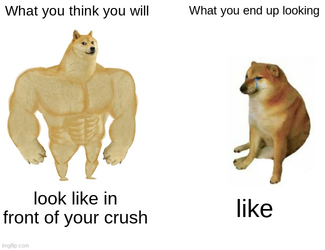 Buff Doge vs. Cheems Meme | What you think you will What you end up looking look like in front of your crush like | image tagged in memes,buff doge vs cheems | made w/ Imgflip meme maker