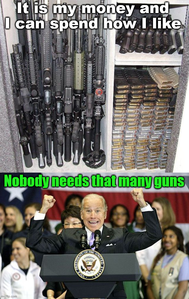 Personal choice and secured, what is the issue? | It is my money and I can spend how I like; Nobody needs that many guns | image tagged in 2nd amendment,guns | made w/ Imgflip meme maker
