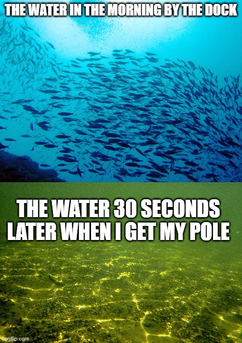 THE WATER IN THE MORNING BY THE DOCK; THE WATER 30 SECONDS LATER WHEN I GET MY POLE | made w/ Imgflip meme maker