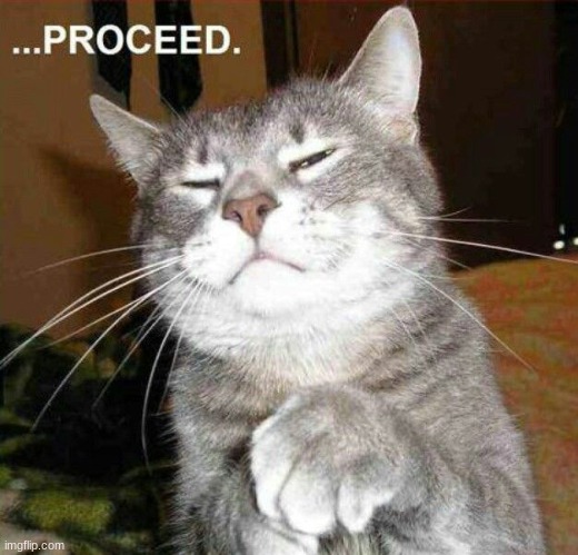 when someone wants to tell you something | image tagged in proceed cat | made w/ Imgflip meme maker