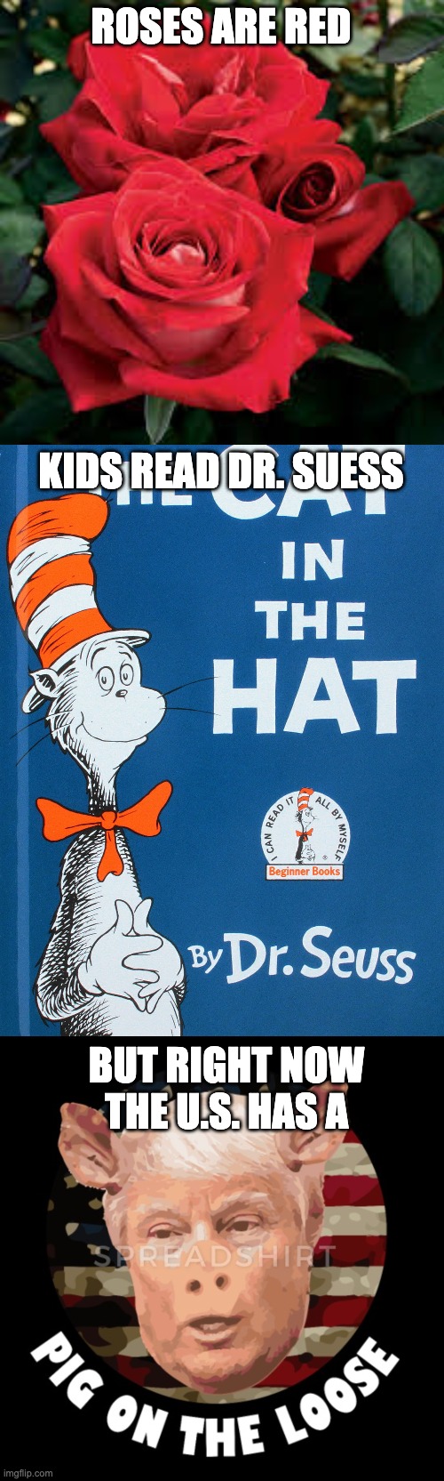 ROSES ARE RED; KIDS READ DR. SUESS; BUT RIGHT NOW THE U.S. HAS A | image tagged in trump sucks,cat in the hat | made w/ Imgflip meme maker