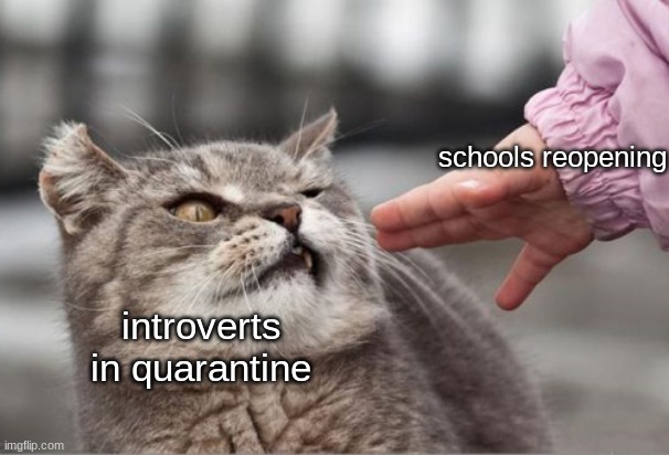 eww, social interaction! | schools reopening; introverts in quarantine | image tagged in disturbed cat,funny,cats,memes | made w/ Imgflip meme maker