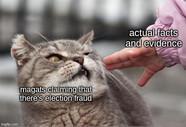 insert witty title | actual facts and evidence; magats claiming that there's election fraud | image tagged in disturbed cat,funy,funny,nevertrump | made w/ Imgflip meme maker
