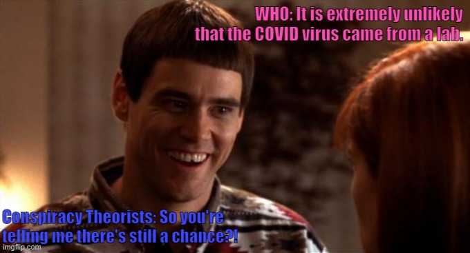 Lab Outbreak: Extremely Unlikely | WHO: It is extremely unlikely that the COVID virus came from a lab. Conspiracy Theorists: So you're telling me there's still a chance?! | image tagged in so you're saying there's a chance | made w/ Imgflip meme maker
