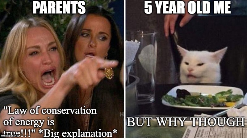 Woman yelling at white cat |  5 YEAR OLD ME; PARENTS; "Law of conservation of energy is true!!!" *Big explanation*; BUT WHY THOUGH | image tagged in woman yelling at white cat | made w/ Imgflip meme maker