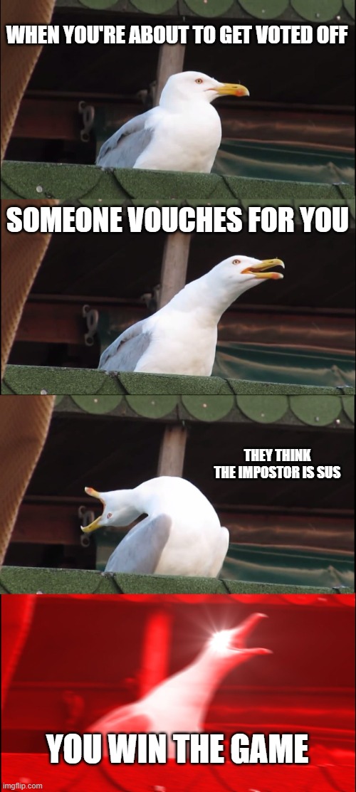 Inhaling Seagull Meme | WHEN YOU'RE ABOUT TO GET VOTED OFF; SOMEONE VOUCHES FOR YOU; THEY THINK THE IMPOSTOR IS SUS; YOU WIN THE GAME | image tagged in memes,inhaling seagull | made w/ Imgflip meme maker