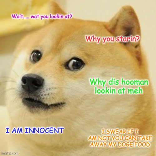 Doge Meme | Wait..... wat you lookin at? Why you starin? Why dis hooman lookin at meh; I SWEAR IF I AM NOT YOU CAN TAKE AWAY MY DOGE FOOD; I AM INNOCENT | image tagged in memes,doge | made w/ Imgflip meme maker