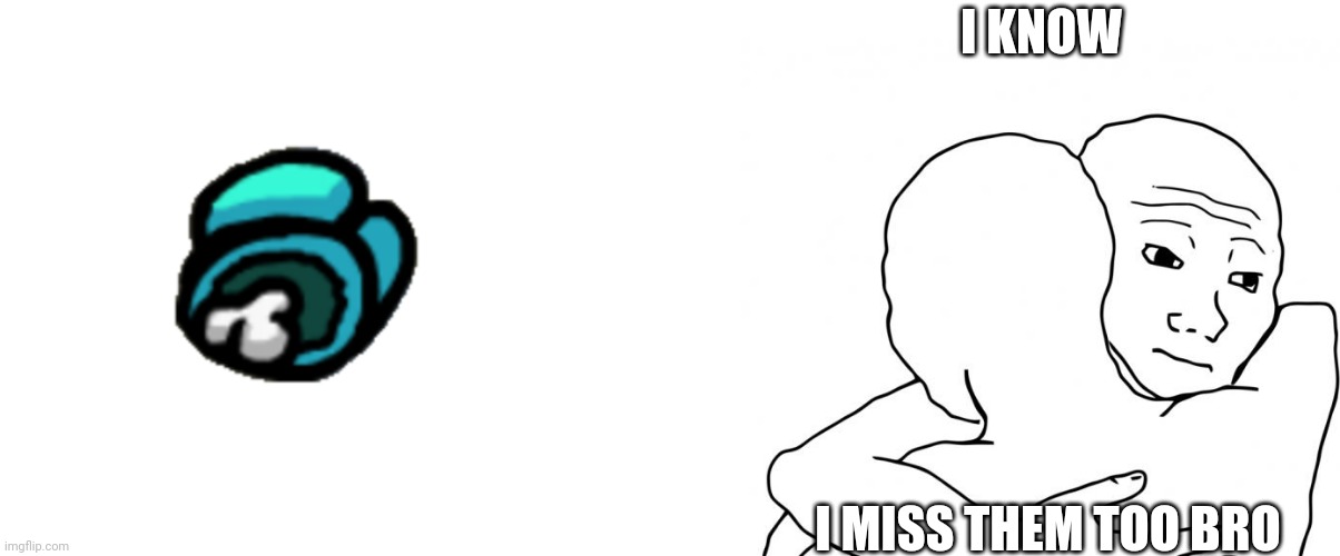 *salutes* | I KNOW; I MISS THEM TOO BRO | image tagged in blank white template,memes,i know that feel bro,goodbye | made w/ Imgflip meme maker