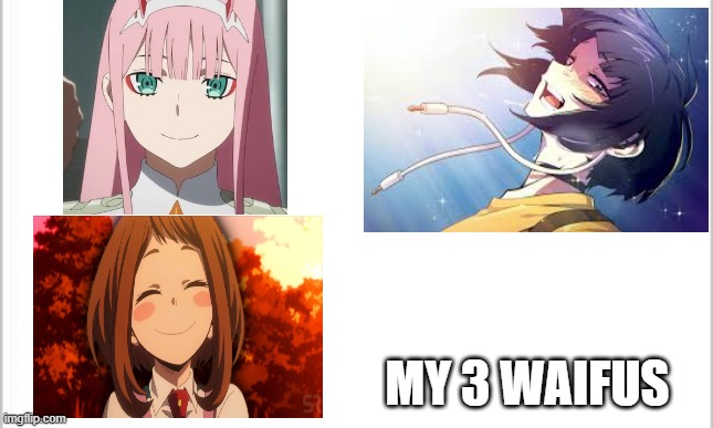 i got 3 now ig...like ochaco more than the rest though | MY 3 WAIFUS | image tagged in white background | made w/ Imgflip meme maker