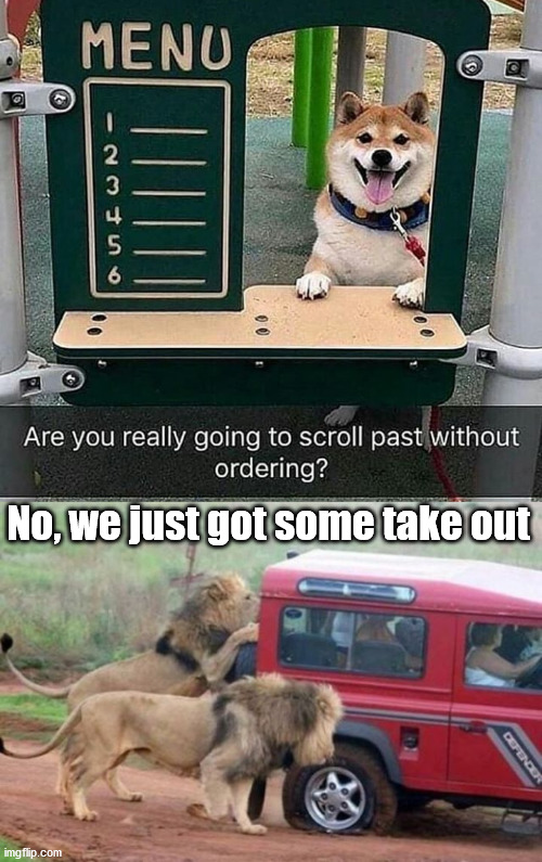Food to go. |  No, we just got some take out | image tagged in food,tasty,lions,order | made w/ Imgflip meme maker