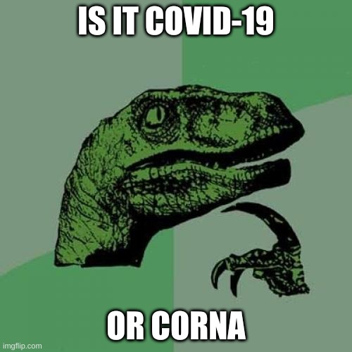 Philosoraptor | IS IT COVID-19; OR CORNA | image tagged in memes,philosoraptor | made w/ Imgflip meme maker