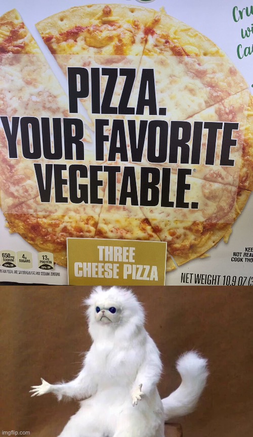 Pizza is a vegetable? | image tagged in cat shrug,funny,memes,pizza,vegetarian | made w/ Imgflip meme maker