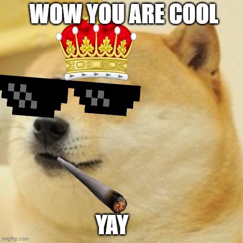 cool doge | WOW YOU ARE COOL; YAY | image tagged in wow doge | made w/ Imgflip meme maker