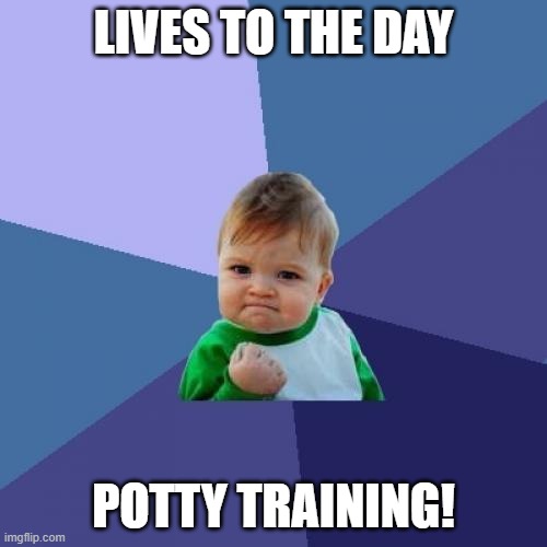 Man potty training tho | LIVES TO THE DAY; POTTY TRAINING! | image tagged in memes,success kid | made w/ Imgflip meme maker