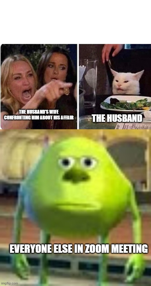 Zoom call | THE HUSBAND'S WIFE CONFRONTING HIM ABOUT HIS AFFAIR; THE HUSBAND; EVERYONE ELSE IN ZOOM MEETING | image tagged in lady screams at cat,sully wazowski | made w/ Imgflip meme maker
