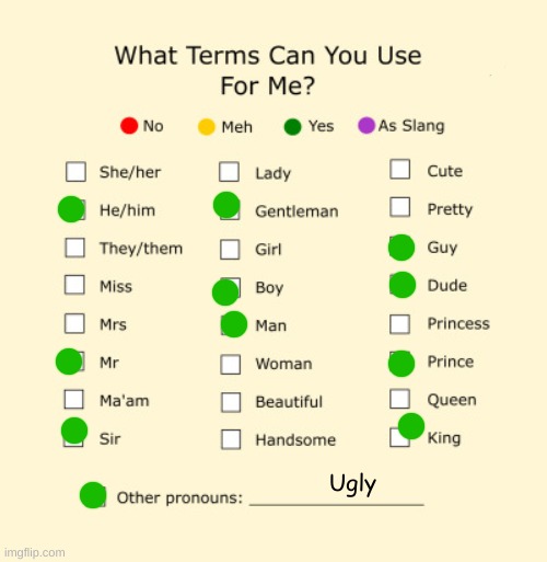 Pronouns Sheet | Ugly | image tagged in pronouns sheet | made w/ Imgflip meme maker