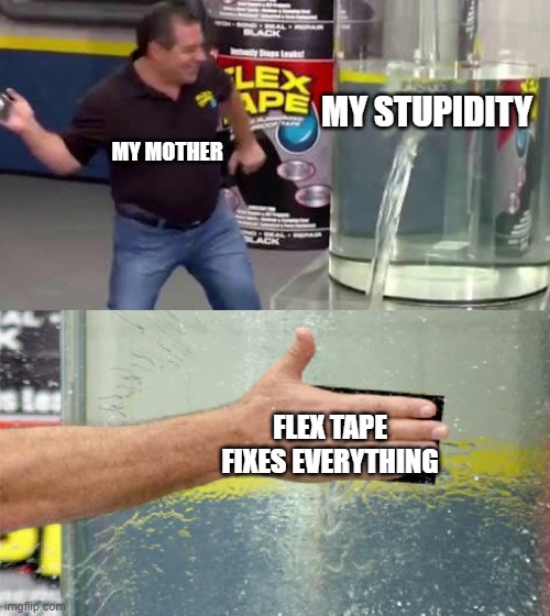 my lifes story | MY STUPIDITY; MY MOTHER; FLEX TAPE FIXES EVERYTHING | image tagged in flex tape | made w/ Imgflip meme maker