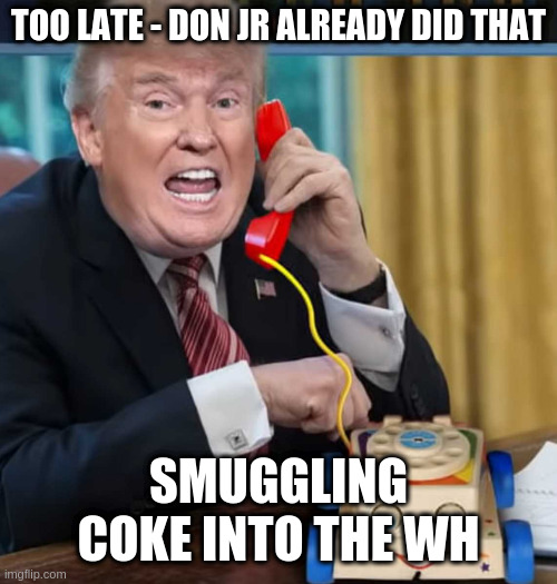 I'm the president | TOO LATE - DON JR ALREADY DID THAT SMUGGLING COKE INTO THE WH | image tagged in i'm the president | made w/ Imgflip meme maker