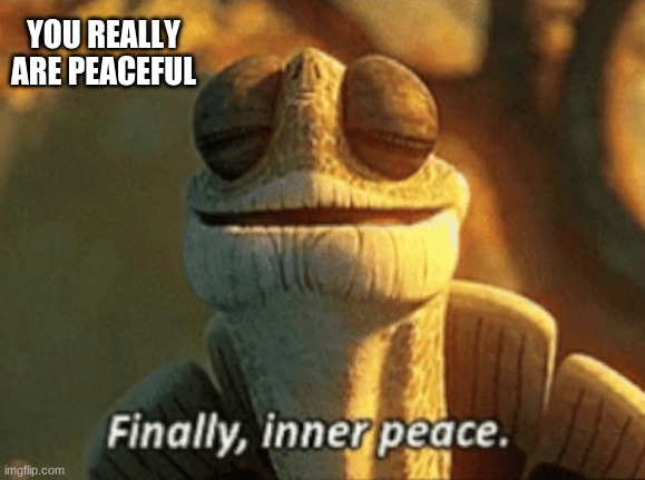 Finally, inner peace. | YOU REALLY ARE PEACEFUL | image tagged in finally inner peace | made w/ Imgflip meme maker