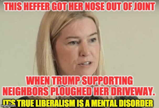 Virginia Heffernan gets POed when Trump supporting neighbors plough driveway. Has to write article insulting their kindness. LIB | THIS HEFFER GOT HER NOSE OUT OF JOINT; WHEN TRUMP SUPPORTING NEIGHBORS PLOUGHED HER DRIVEWAY. IT'S TRUE LIBERALISM IS A MENTAL DISORDER | image tagged in virginia heffernan | made w/ Imgflip meme maker