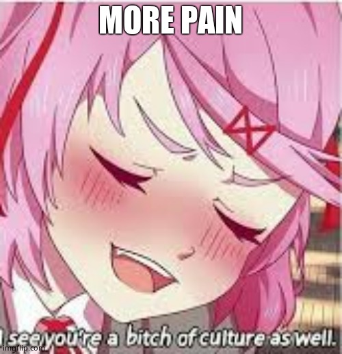 I see you are a bitch of culture as well | MORE PAIN | image tagged in i see you are a bitch of culture as well | made w/ Imgflip meme maker