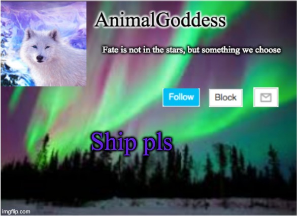Ship me | Ship pls | image tagged in ship,me,plz,thanks,-animalgoddess | made w/ Imgflip meme maker