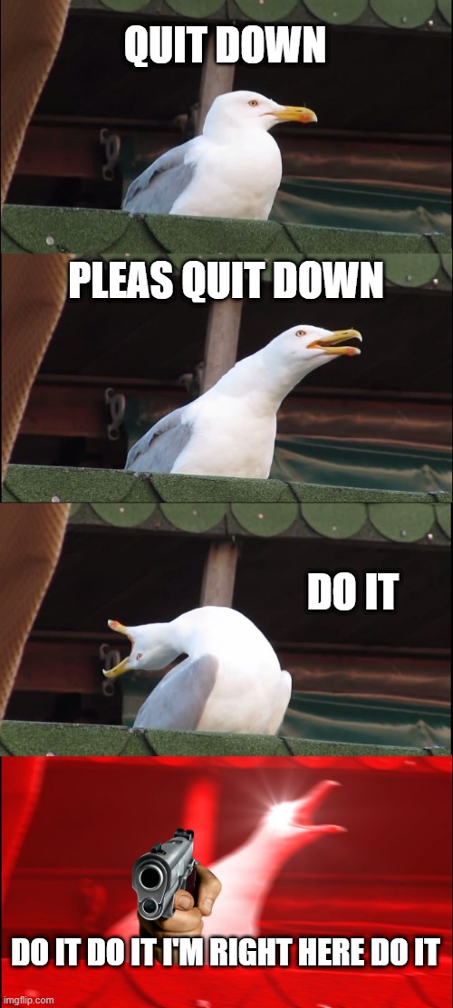 DO IT | QUIT DOWN; PLEAS QUIT DOWN; DO IT; DO IT DO IT I'M RIGHT HERE DO IT | image tagged in memes,inhaling seagull | made w/ Imgflip meme maker