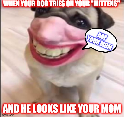 pug humanoid | WHEN YOUR DOG TRIES ON YOUR "MITTENS"; ARF YOUR MOM; AND HE LOOKS LIKE YOUR MOM | image tagged in pug humanoid,memes | made w/ Imgflip meme maker