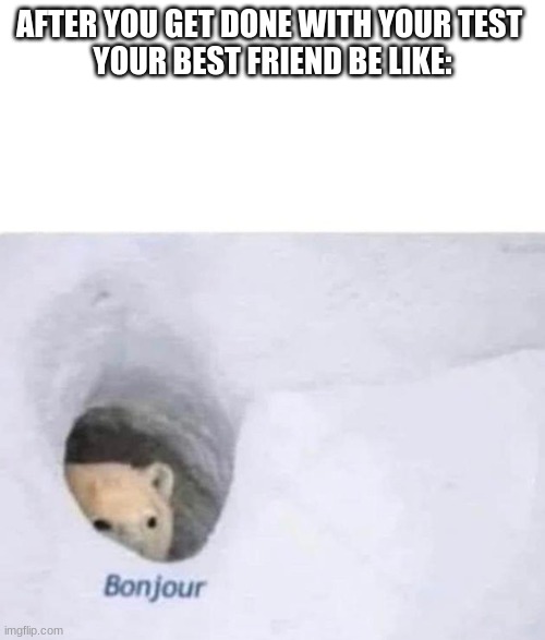 lol i can't | AFTER YOU GET DONE WITH YOUR TEST 
YOUR BEST FRIEND BE LIKE: | image tagged in bonjour | made w/ Imgflip meme maker