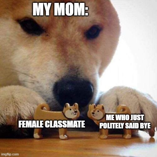 dog now kiss  | MY MOM:; ME WHO JUST POLITELY SAID BYE; FEMALE CLASSMATE | image tagged in dog now kiss,boys vs girls,girls vs boys | made w/ Imgflip meme maker