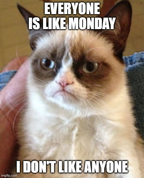 Clasic memes #1 | EVERYONE IS LIKE MONDAY; I DON'T LIKE ANYONE | image tagged in memes,grumpy cat | made w/ Imgflip meme maker