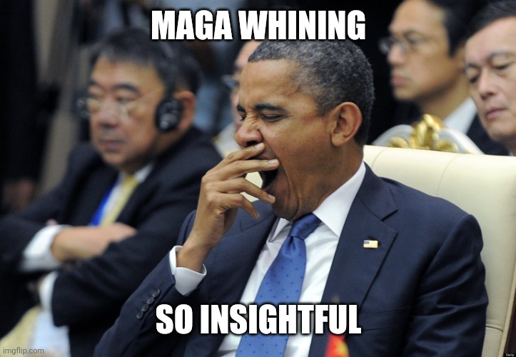 Obama yawning | MAGA WHINING SO INSIGHTFUL | image tagged in obama yawning | made w/ Imgflip meme maker