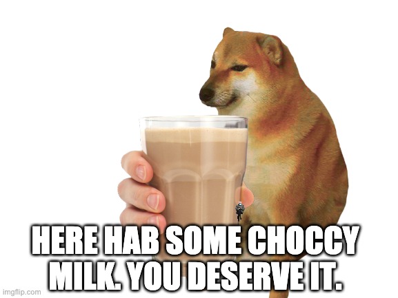 find le bernie | HERE HAB SOME CHOCCY MILK. YOU DESERVE IT. | image tagged in cheems | made w/ Imgflip meme maker