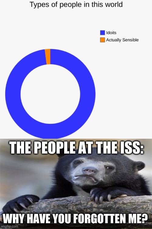 89% of the world population are idiots | THE PEOPLE AT THE ISS:; WHY HAVE YOU FORGOTTEN ME? | image tagged in truth,sadness | made w/ Imgflip meme maker
