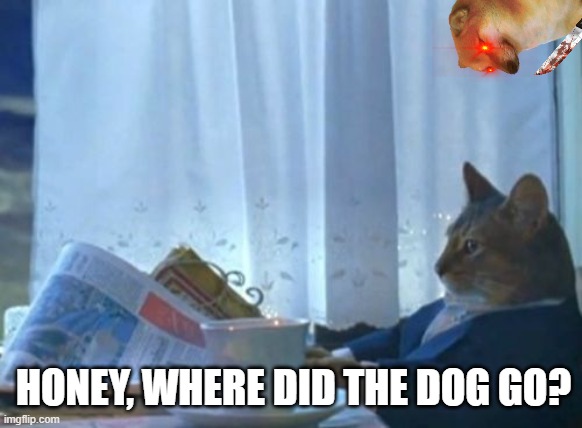 {Cheems_VS_Boat-Cat{____{epic-edition | HONEY, WHERE DID THE DOG GO? | image tagged in memes,i should buy a boat cat | made w/ Imgflip meme maker