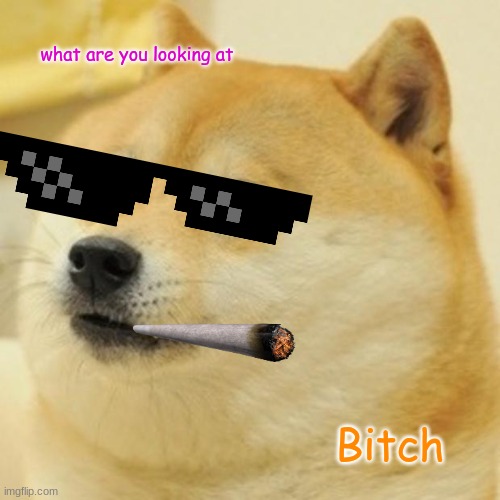 Doge | what are you looking at; Bitch | image tagged in memes,doge | made w/ Imgflip meme maker