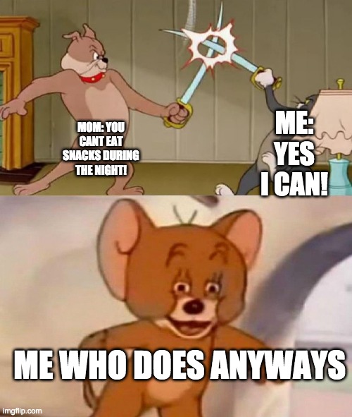lol | ME: YES I CAN! MOM: YOU CANT EAT SNACKS DURING THE NIGHT! ME WHO DOES ANYWAYS | image tagged in tom and jerry swordfight | made w/ Imgflip meme maker
