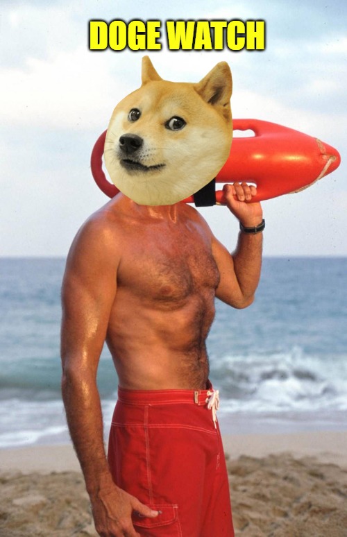 Doge watch | DOGE WATCH | image tagged in david hasselhoff | made w/ Imgflip meme maker