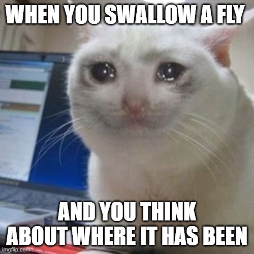 (put sad music here) | WHEN YOU SWALLOW A FLY; AND YOU THINK ABOUT WHERE IT HAS BEEN | image tagged in crying cat,sad,fly,success kid,superbowl,funny | made w/ Imgflip meme maker