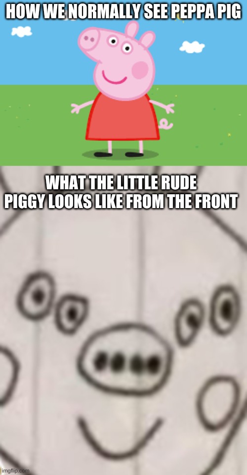 The truth of the most famous child snott | HOW WE NORMALLY SEE PEPPA PIG; WHAT THE LITTLE RUDE PIGGY LOOKS LIKE FROM THE FRONT | image tagged in peppa pig,meme parody,parody,omg,what | made w/ Imgflip meme maker