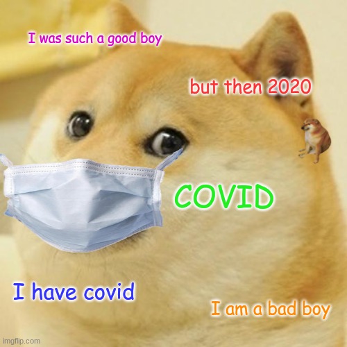 Doge Meme | I was such a good boy; but then 2020; COVID; I have covid; I am a bad boy | image tagged in memes,doge | made w/ Imgflip meme maker