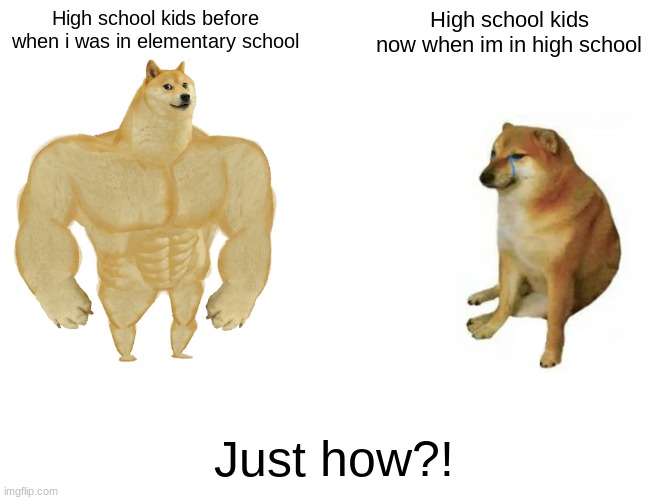 Buff Doge vs. Cheems | High school kids before when i was in elementary school; High school kids now when im in high school; Just how?! | image tagged in memes,buff doge vs cheems | made w/ Imgflip meme maker