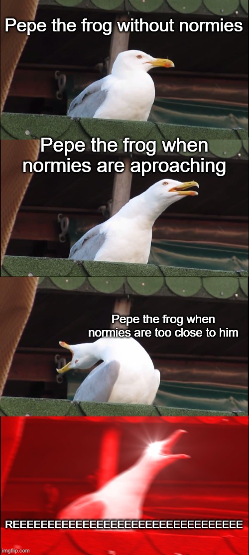 N o r m i e s | Pepe the frog without normies; Pepe the frog when normies are aproaching; Pepe the frog when normies are too close to him; REEEEEEEEEEEEEEEEEEEEEEEEEEEEEEEEE | image tagged in memes,inhaling seagull,normies,pepe the frog,reeeeeeeeeeeeeeeeee | made w/ Imgflip meme maker