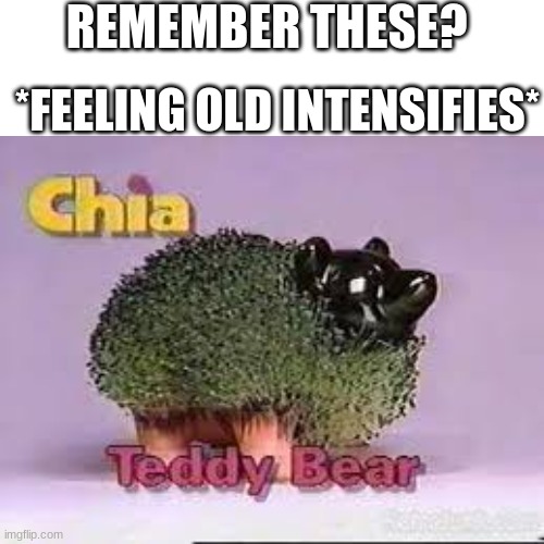 Ch-ch-ch-chia!! | REMEMBER THESE? *FEELING OLD INTENSIFIES* | image tagged in chia pet,nostalgia,old | made w/ Imgflip meme maker