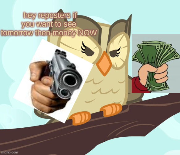 Scowled Owlowiscious (MLP) | hey reposters if you want to see tomorrow then money NOW | image tagged in scowled owlowiscious mlp | made w/ Imgflip meme maker