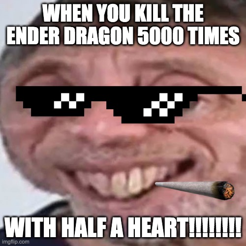 Noice | WHEN YOU KILL THE ENDER DRAGON 5000 TIMES; WITH HALF A HEART!!!!!!!! | image tagged in noice | made w/ Imgflip meme maker