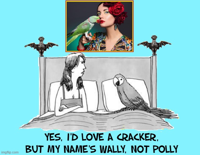The Danger of Stereotypes in Interspecies Relationships | YES, I'D LOVE A CRACKER, BUT MY NAME'S WALLY, NOT POLLY | image tagged in vince vance,parrot,polly,cracker,memes,birds | made w/ Imgflip meme maker