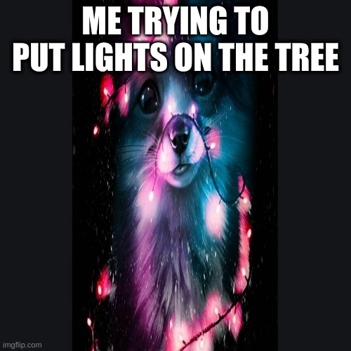 true | ME TRYING TO PUT LIGHTS ON THE TREE | image tagged in memes | made w/ Imgflip meme maker
