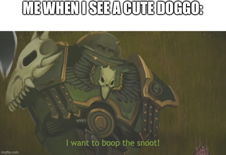 I want to boop the snoot! | ME WHEN I SEE A CUTE DOGGO: | image tagged in i want to boop the snoot,dogs | made w/ Imgflip meme maker