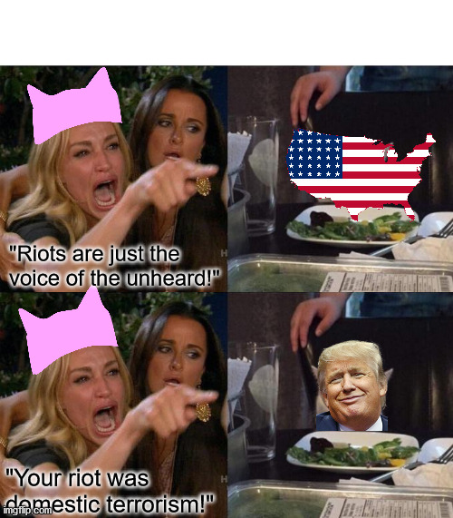 "Riots are just the voice of the unheard!"; "Your riot was domestic terrorism!" | image tagged in memes,woman yelling at cat | made w/ Imgflip meme maker